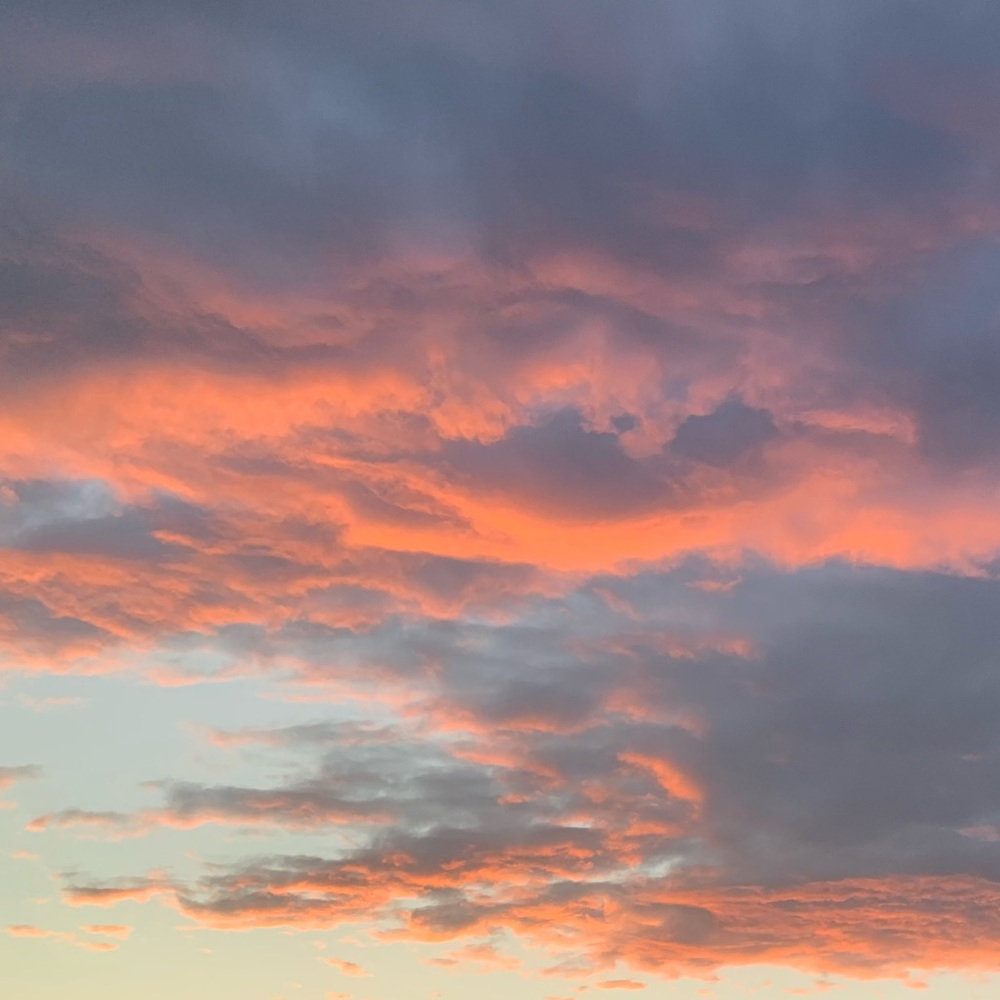 Meet your Posher, Camille